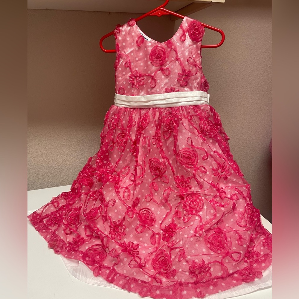 Blueberi Boulevard Girls Dress💕Pink roses with a white underskirt💐EUC🌹Size 6X